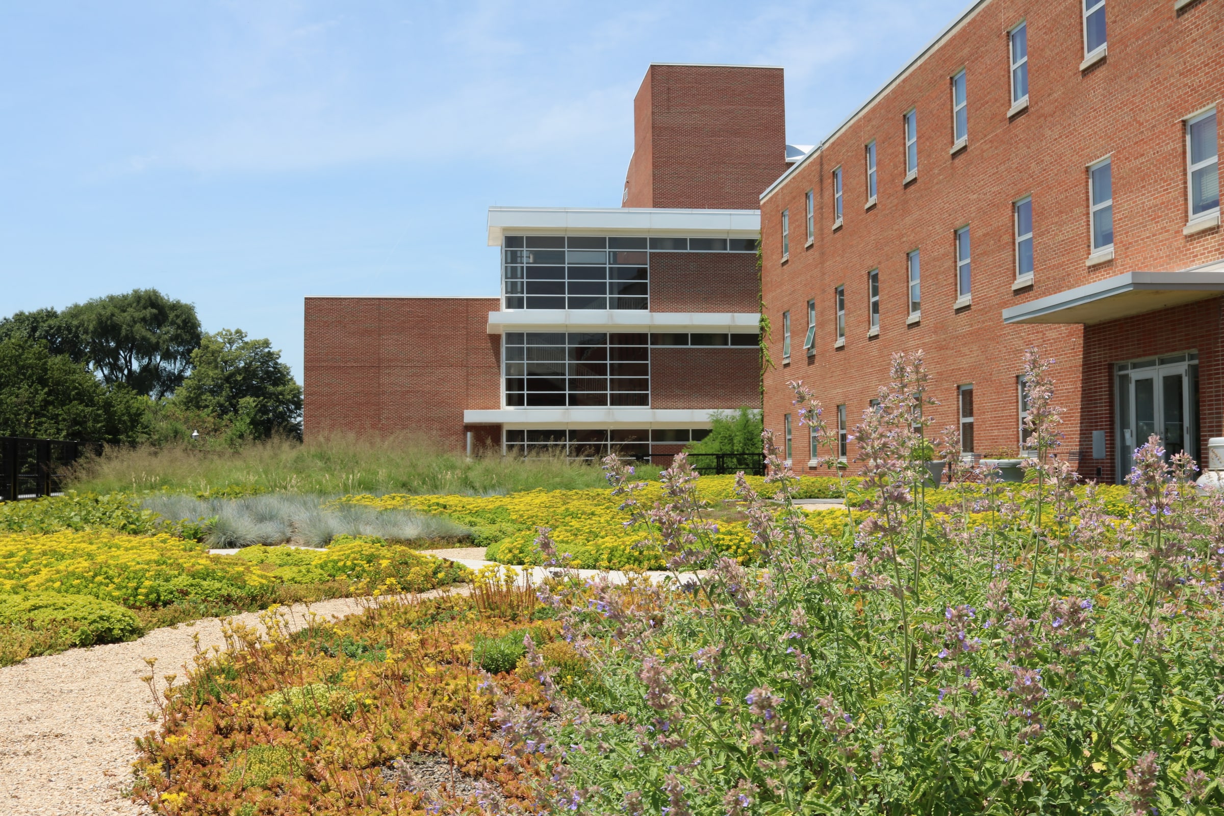 Green roof, Howlett Hall, Ohio State University